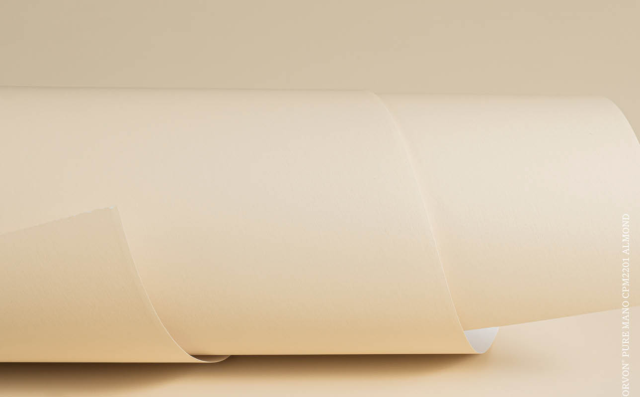 smelio_1288x798.jpg