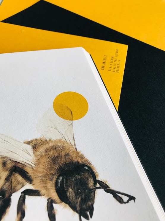 Nautilus_Bitė.jpg