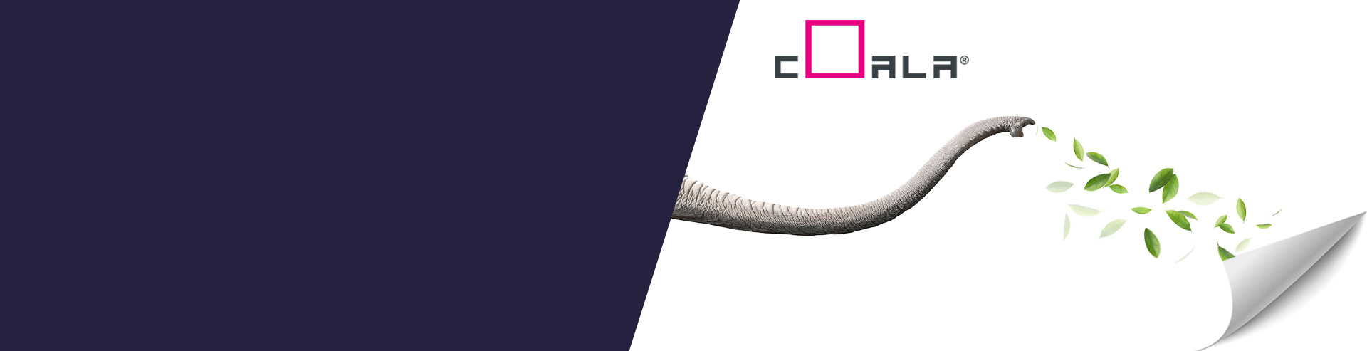 V3-COALA-samples-caroussel-banner-1920x493.jpg