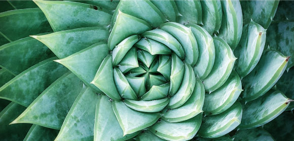 CYCLUS-Visuels-580x280px-BestInClass.jpg