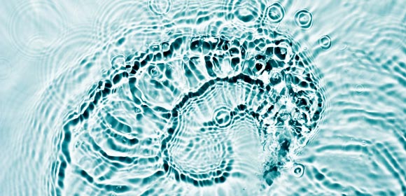 CYCLUS-Visuels-580x280px-NaturalAndModern.jpg