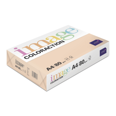 Image Coloraction
