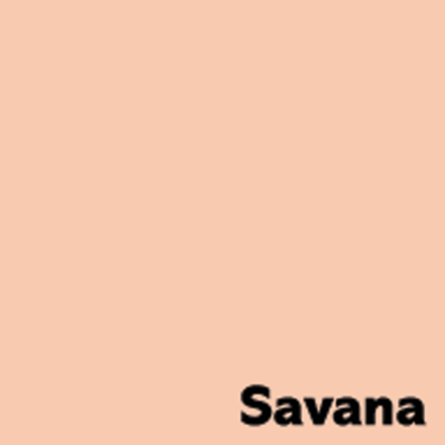Image Coloraction