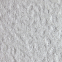 Constellation Snow