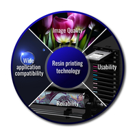 Epson Ink RS