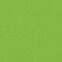 Olin Colours