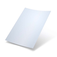 Schulze DTF Standart Plus Film