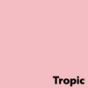 Image Coloraction